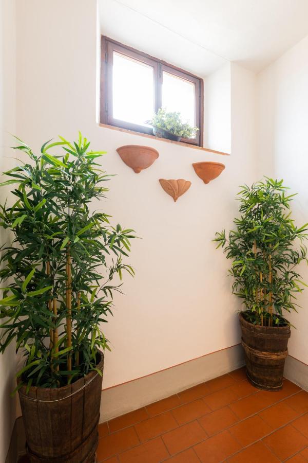 Fiesole'S Cozy Apartment 1 外观 照片